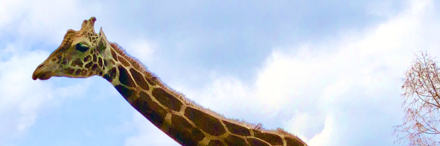 mj_yoru's profile banner image