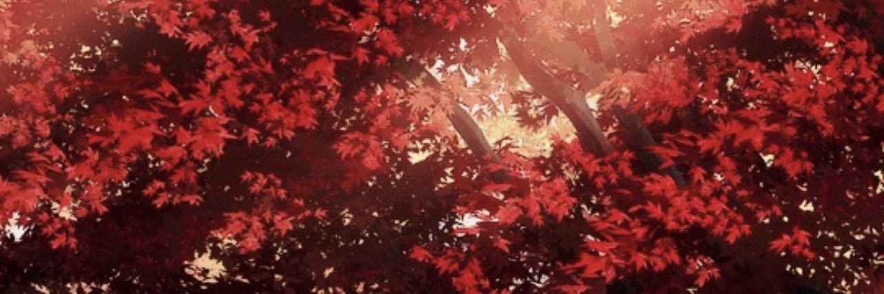 NinjaAliya's profile banner image