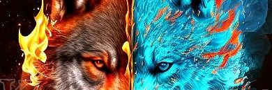 ذيب ⓵ banner