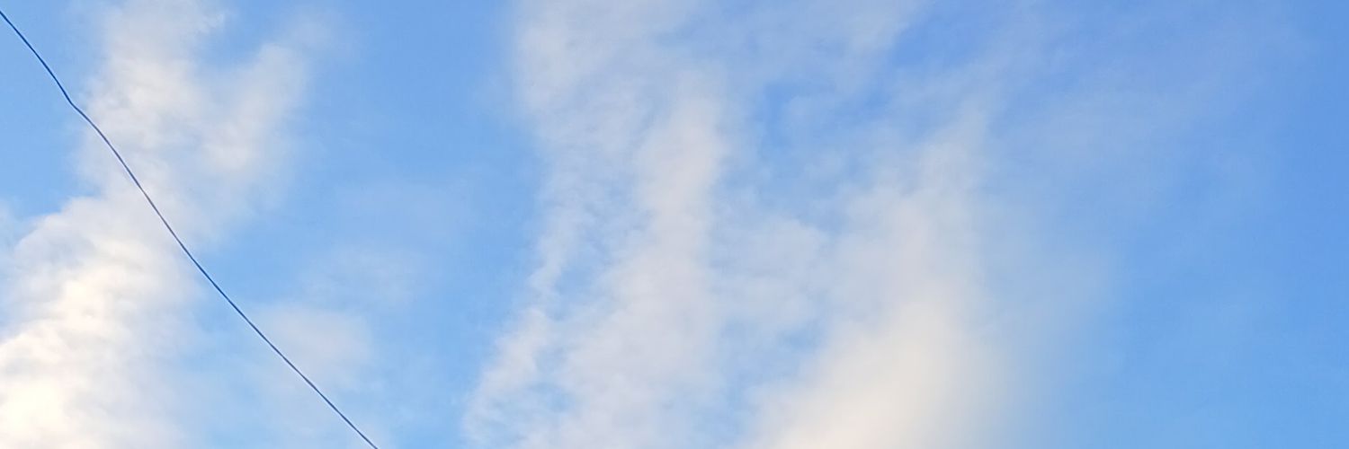 mlm banner