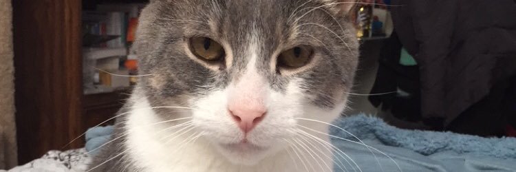 KaylaLeclair07's profile banner image