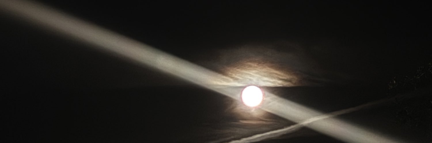 Shalyiaa's profile banner image