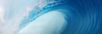 Libgirl 🇺🇲 🌊🌊🌊#BlueWave2024's banner