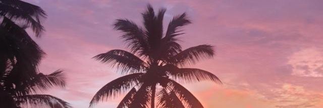 11553_'s profile banner image