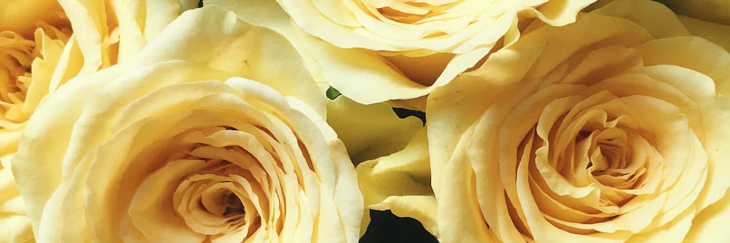 MorozovaDashaa's profile banner image