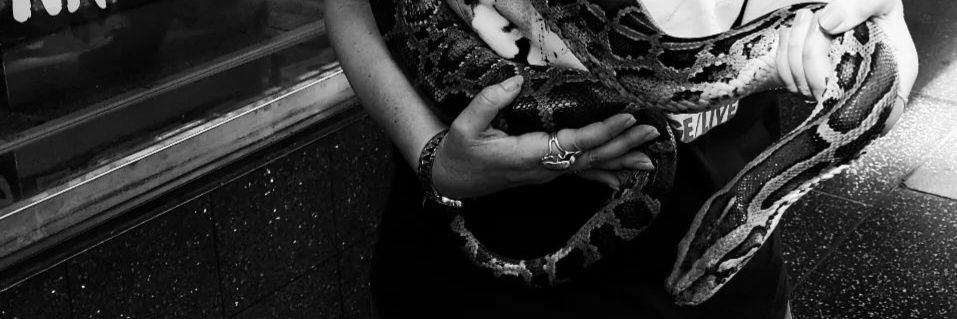 Sharon Anderson banner