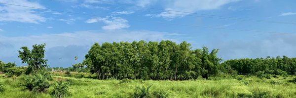 biswajitmohanty Profile Banner