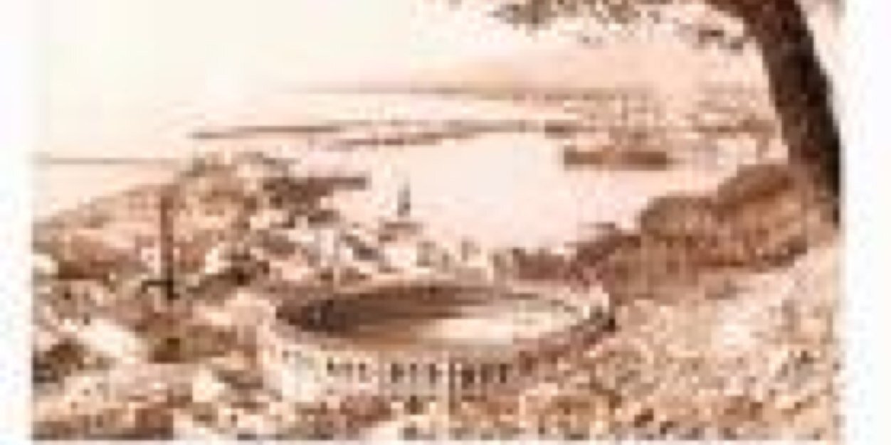Alicia banner