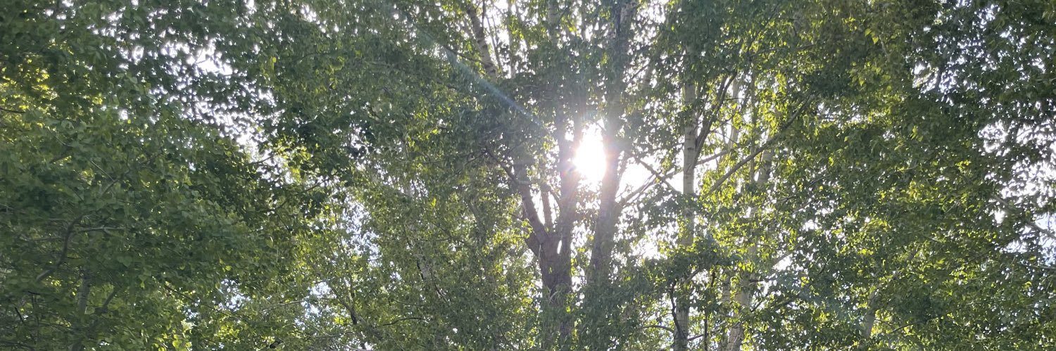 Aimée Christensen banner