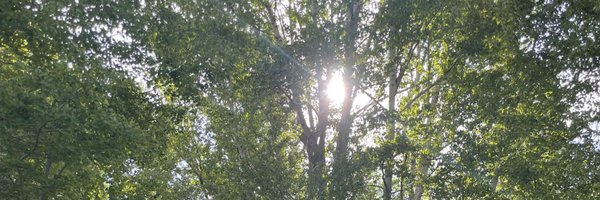 AimeeGlobal Profile Banner