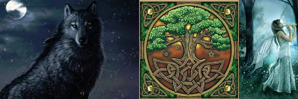 ToneeRhianRose Profile Banner