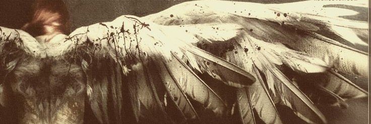 dio . memorias postumas banner