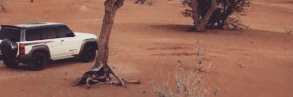 DubaiF9's profile banner image