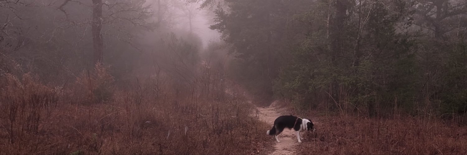 allisonologue's profile banner image