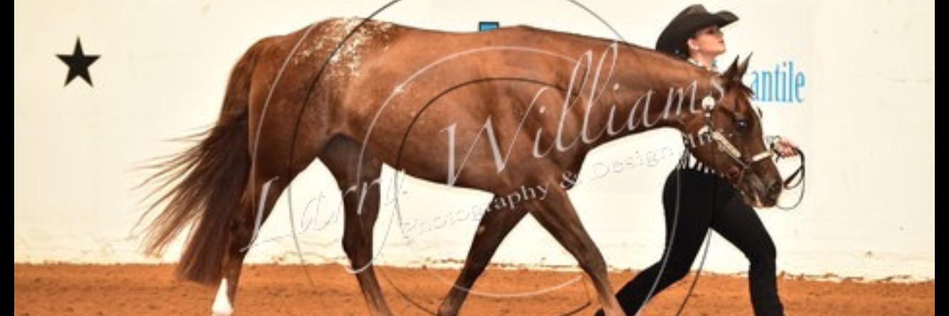 wp_showlyfe's profile banner image