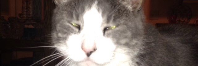 dalton_tyree's profile banner image