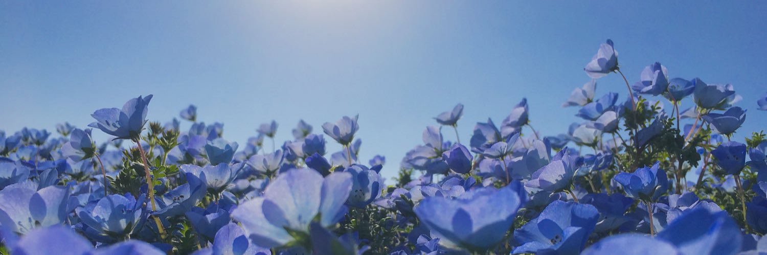 ohrangee's profile banner image