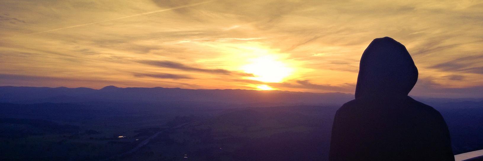 Matt Williams banner