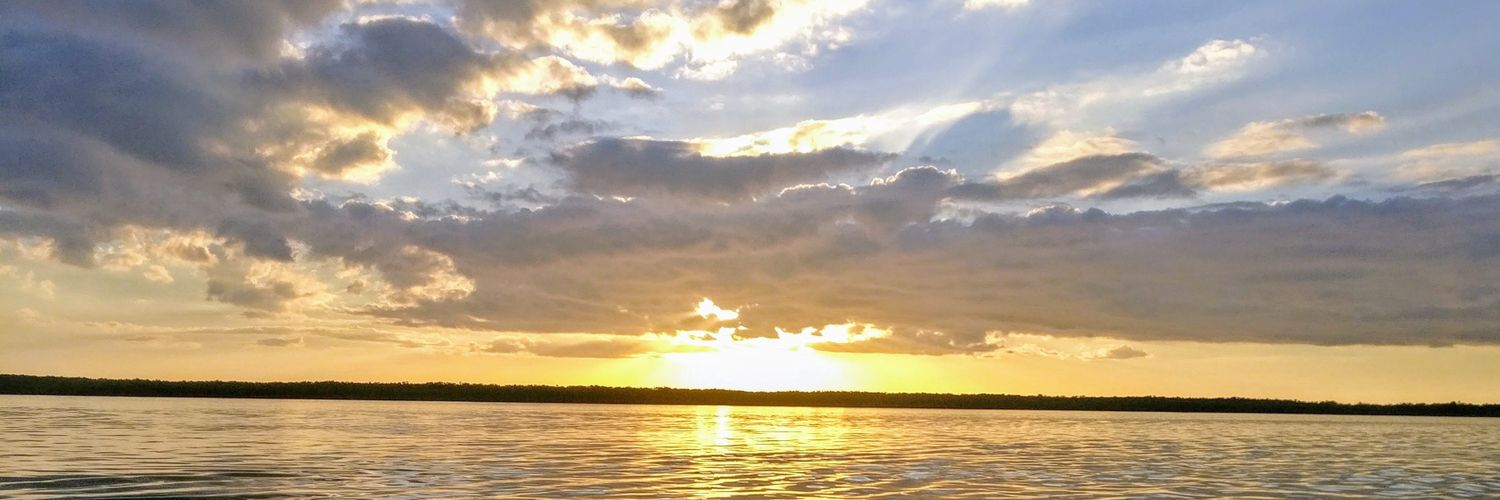 BarbaraMKramer's profile banner image