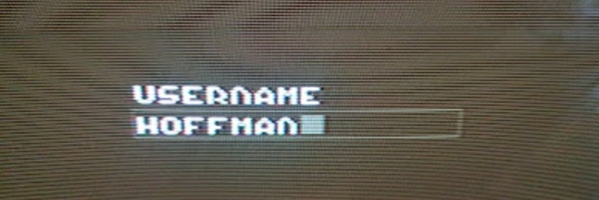 h0ffman's banner