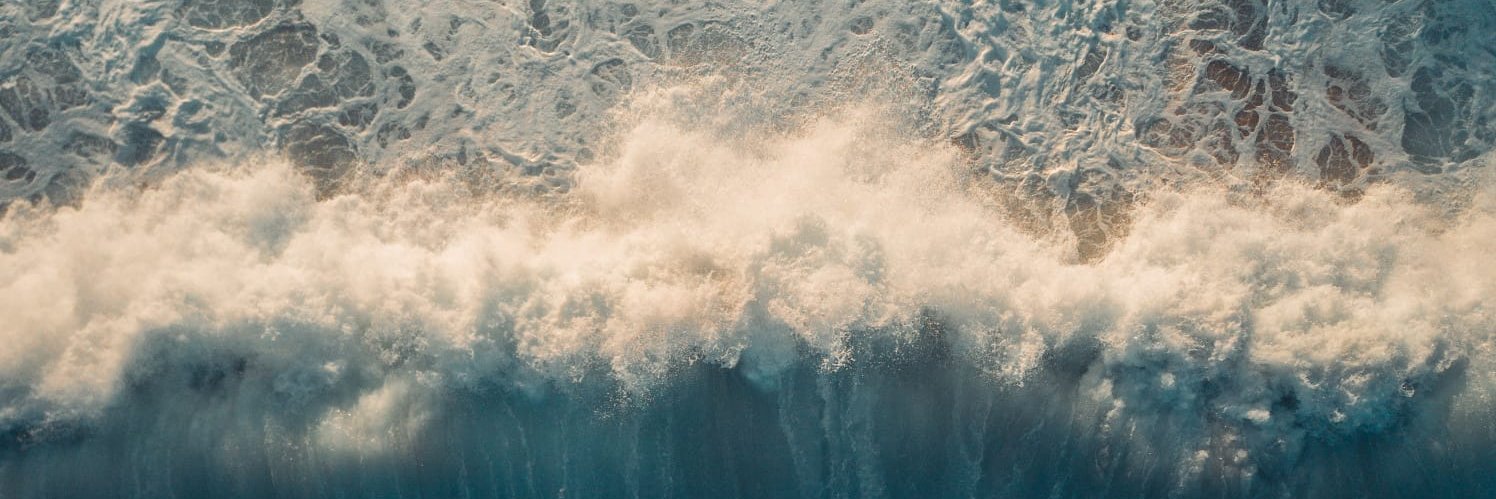 Precious Ocean Blue 🐳 banner