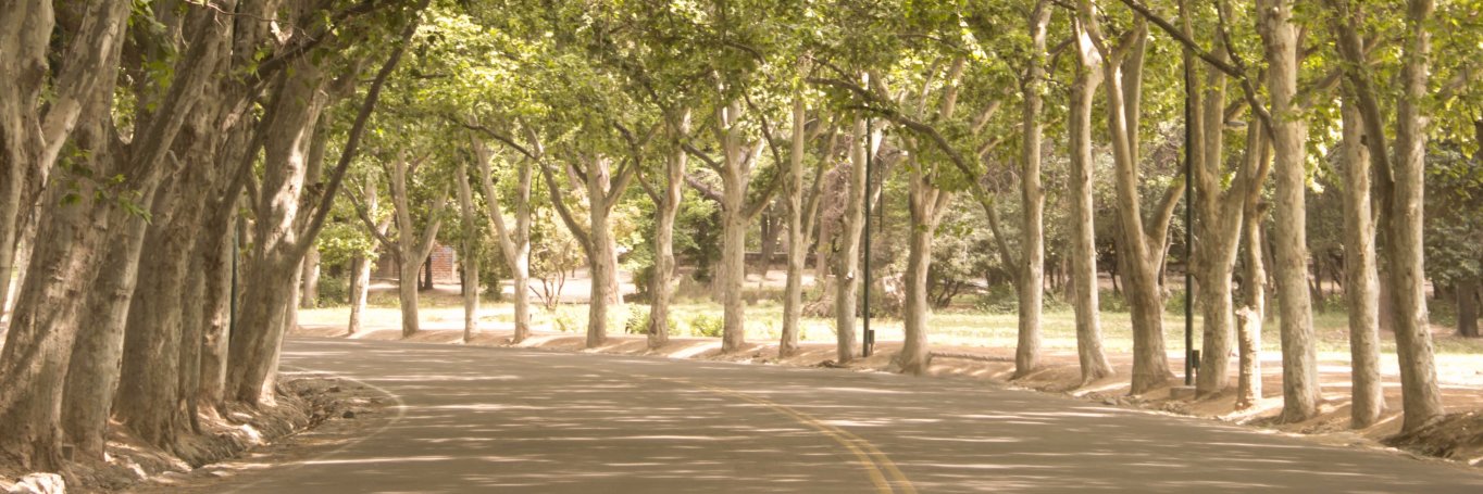 martiin_antolin's profile banner image