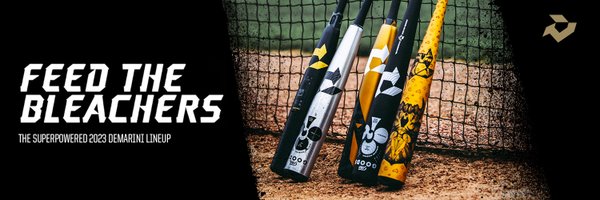 DeMarini Profile Banner