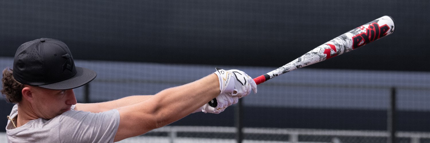 DeMarini's profile banner image