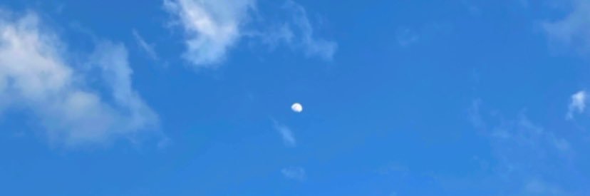 Ale banner