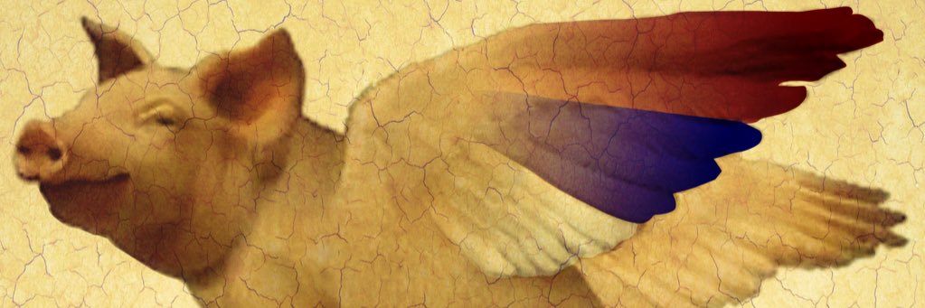 El canario banner