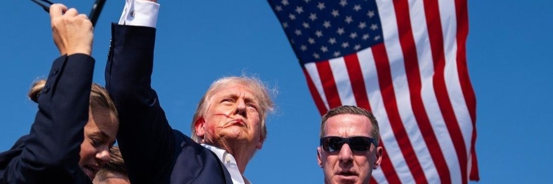 Ronnie V🇺🇸 banner