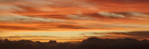 surajitray Profile Banner