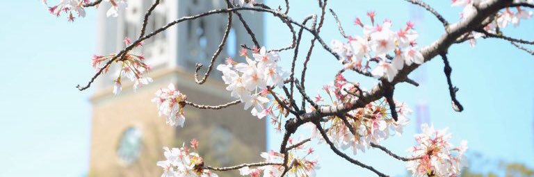 Jun ZHOU🍟周俊 banner