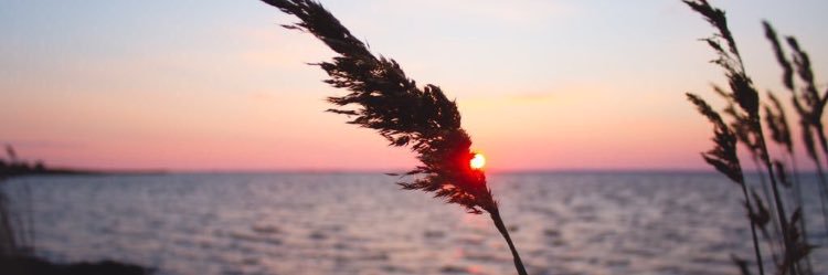 lorissa_warren's profile banner image