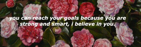 _thayaneduarte's profile banner image