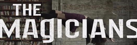 Everrett Shea banner