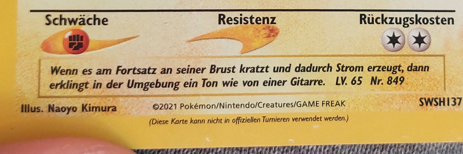 Baerenschwester banner