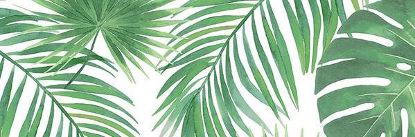 noranotdoraa's profile banner image