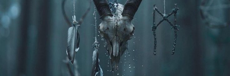 Rose (Rosaria) banner