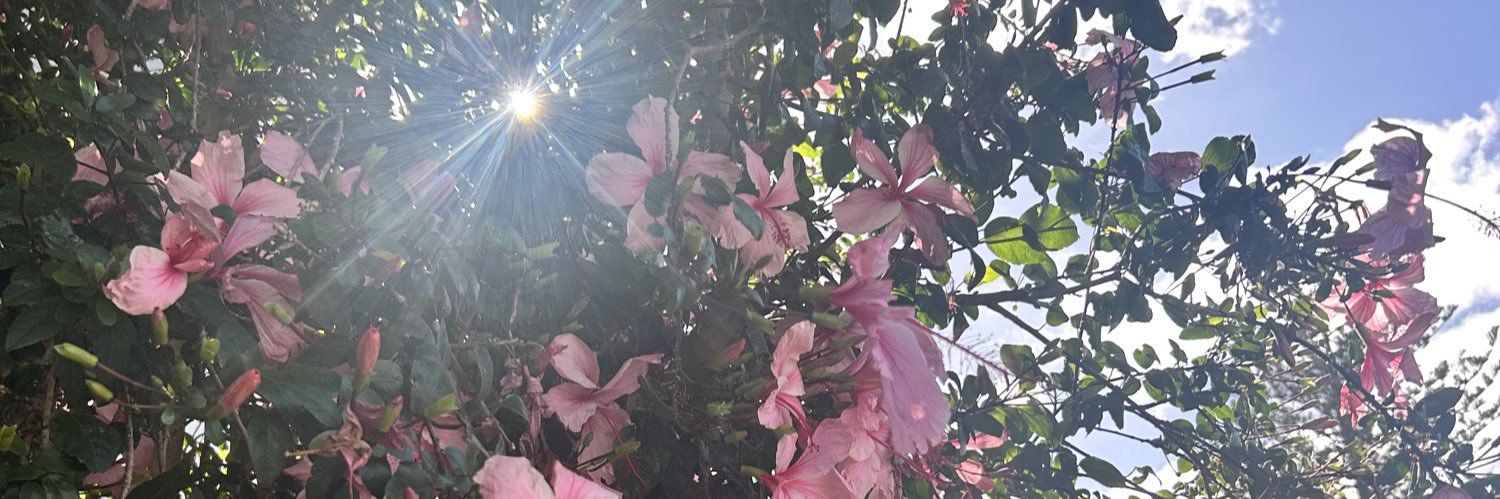 softly lightly banner