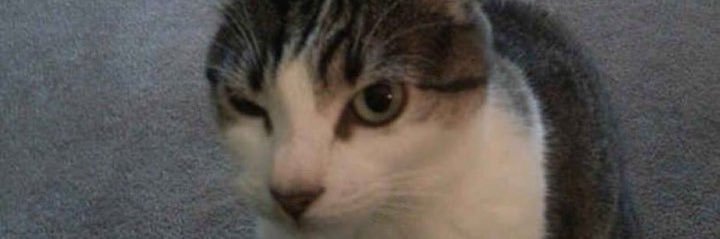 afathhhhhh's profile banner image