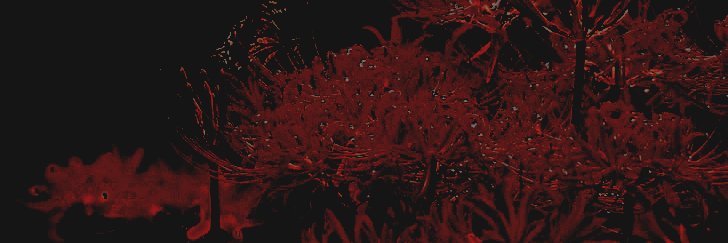 ׄ banner