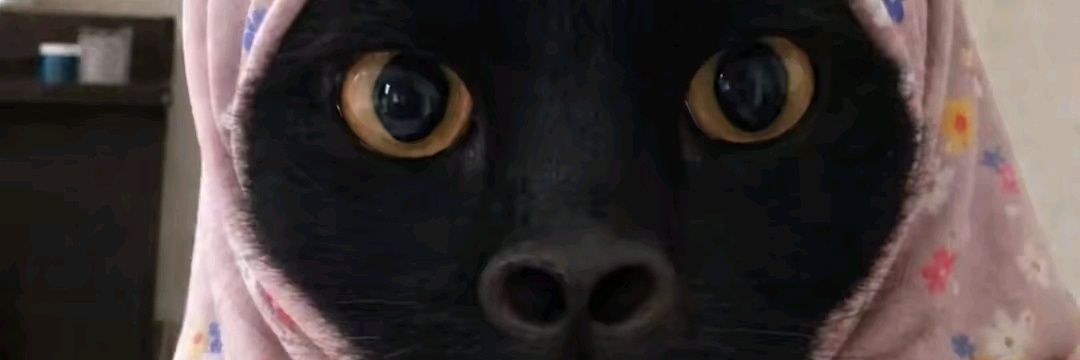 adep888's profile banner image