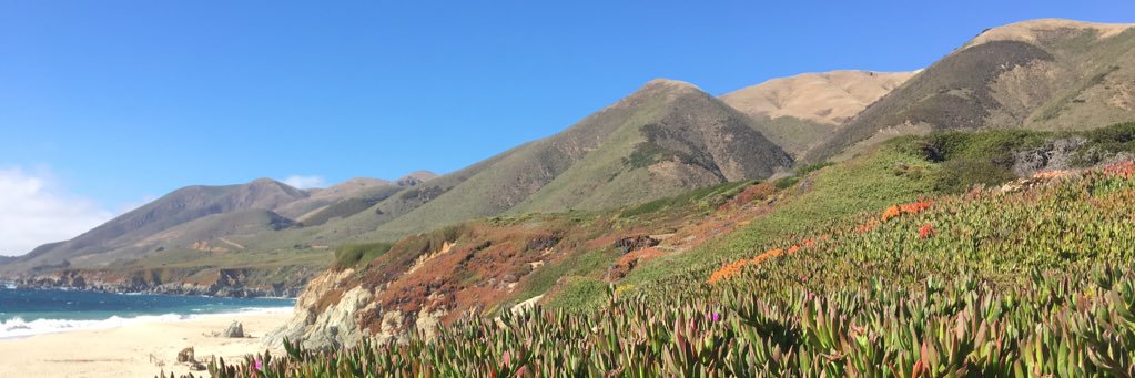 Shelby Dollar banner