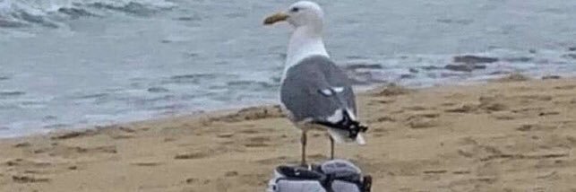 ImDeoxys's profile banner image