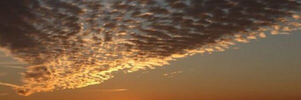 TuckerFox5 Profile Banner