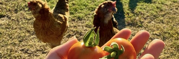 Bones_Trader777 Profile Banner