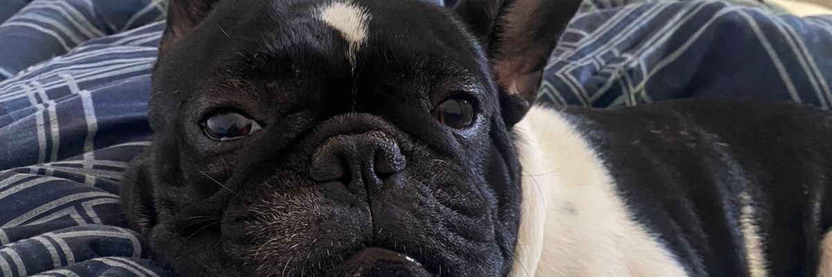 paaofraanco's profile banner image