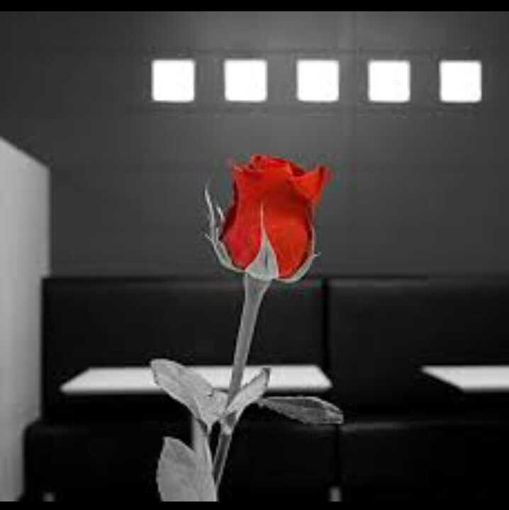 sos11120's profile banner image