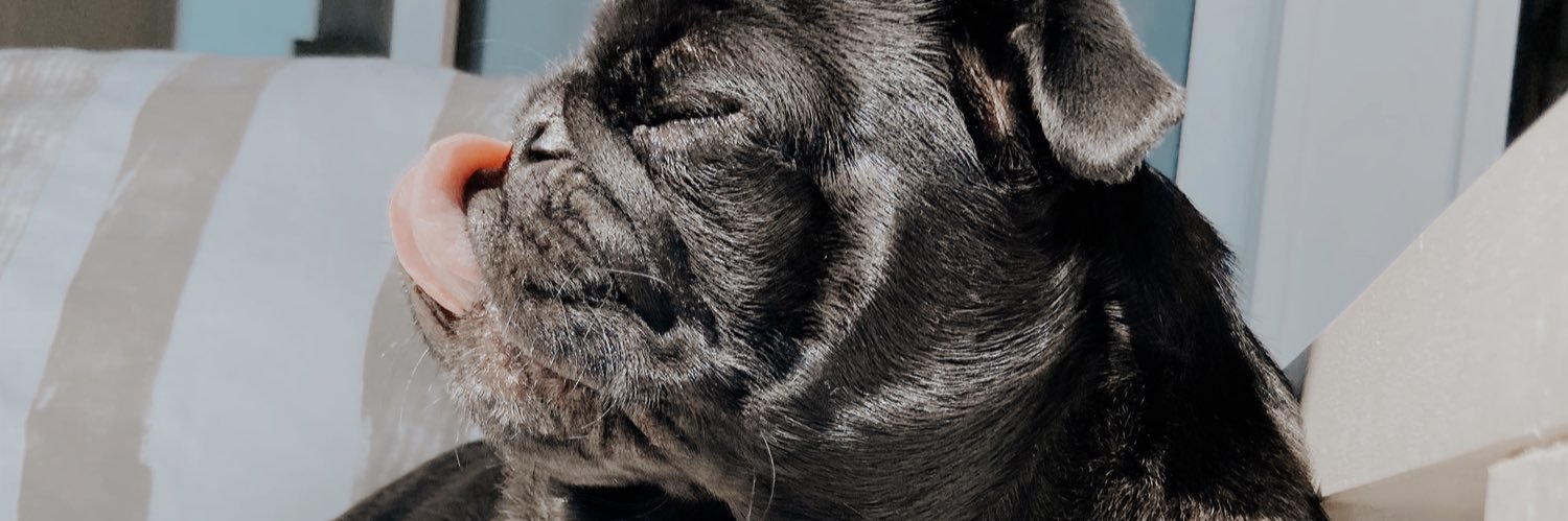 melsmoreno's profile banner image